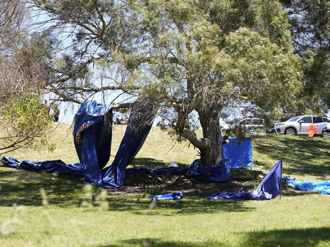 The warning comes as a hearing into the Hillcrest Primary School jumping castle tragedy continues in a Tasmanian court. Picture: Rob Burnett