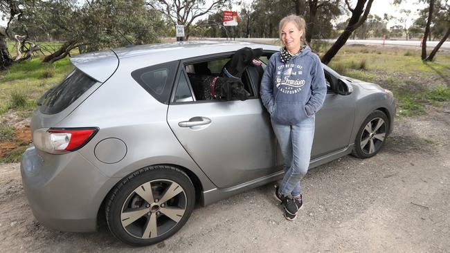 Karyn Kennedy on her way back to Adelaide with her dogs Macey and Huey. Picture: Tait Schmaal.