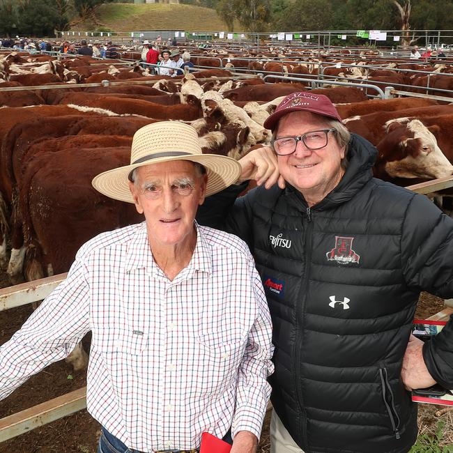 Ensay’s Barry Newcomen and four-time Essendon premiership coach Kevin Sheedy at the Mountain Calf Sales. Picture: Yuri Kouzmin