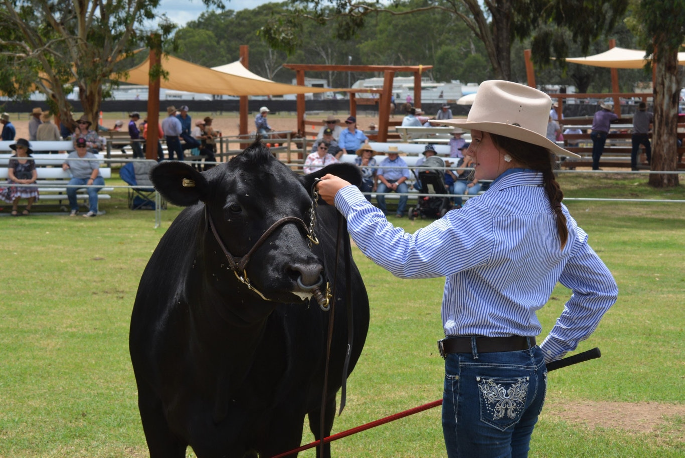 Kingaroy State High School show team member, Indi Erikson with 21-months old Angus champion 