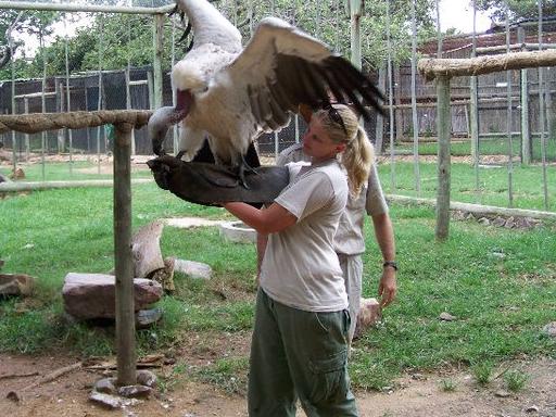 Jen Brown’s priority was always to get back working with animals. Picture: Supplied