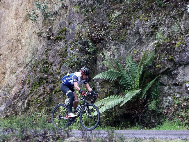 Riders competing in the second Bicycle Network Tasmanian Peaks Challenge. Pictures: CHRIS KIDD