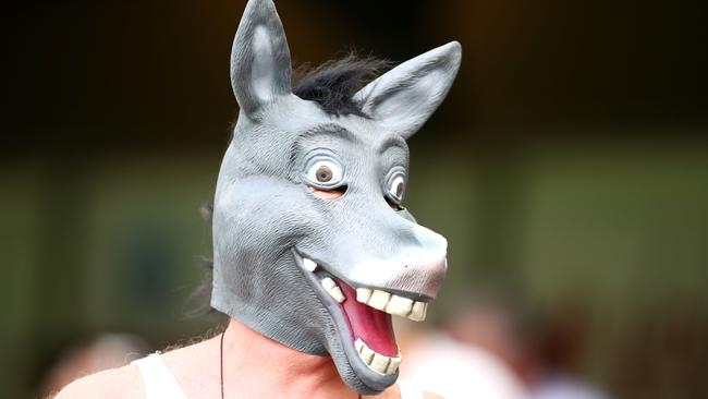 Not quite the Masked Singer, but a fan takes in an event at the Gabba. Picture: Getty Images)