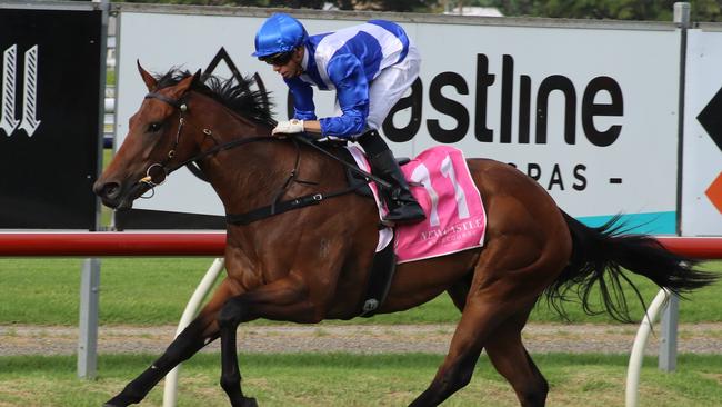 Norweigan Bliss can maintain her unbeaten record when she resumes at Randwick on Tuesday. Picture: Grant Guy