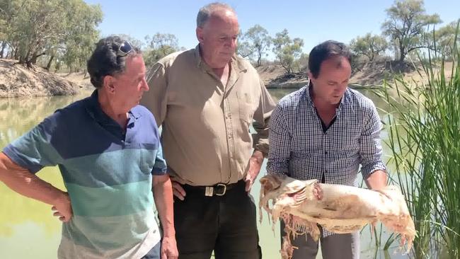 NSW Greens MP Jeremy Buckingham, right, is shaken by the mass fish deaths. Picture: Office of Jeremy Buckingham MLC