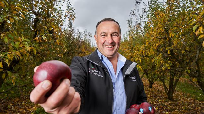 Tony Ceravolo with his apples from Ashton Valley Fresh. Picture: Matt Loxton