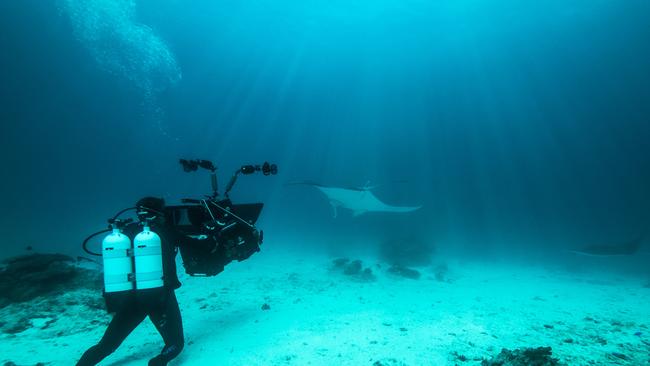 Richard Fitzpatrick from Cairns based film company Biopixel, with an IMAX camera, filming for upcoming documentary Great Barrier Reef 3D. Photo: Christian Miller