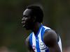 Teams: Bevo’s selection statement, Blues superstar returns