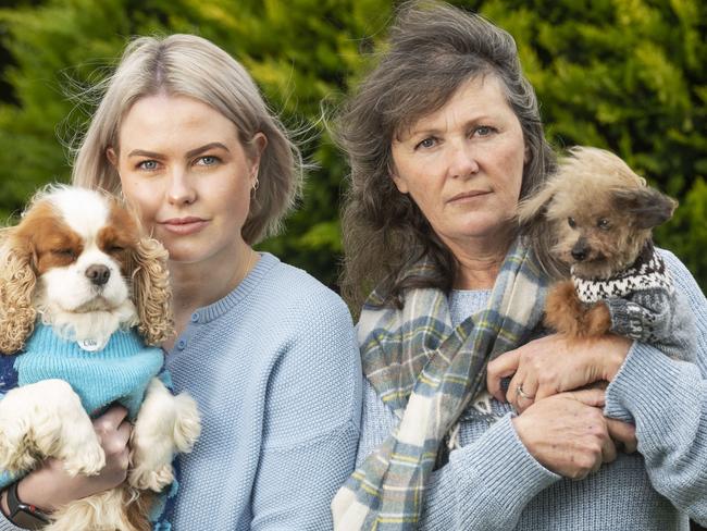 Oscar's Law is dealing with a spike in the number of complaints about puppy farms and dodgy operators throughout the pandemic. They're calling on Victorians to be careful of purchasing a puppy without doing proper background checks.  Oscar's Law founder Debra Tranter ( right) and president Georgie Purcell with their four dogs who were rescued from puppy farms. Picture:Rob Leeson.