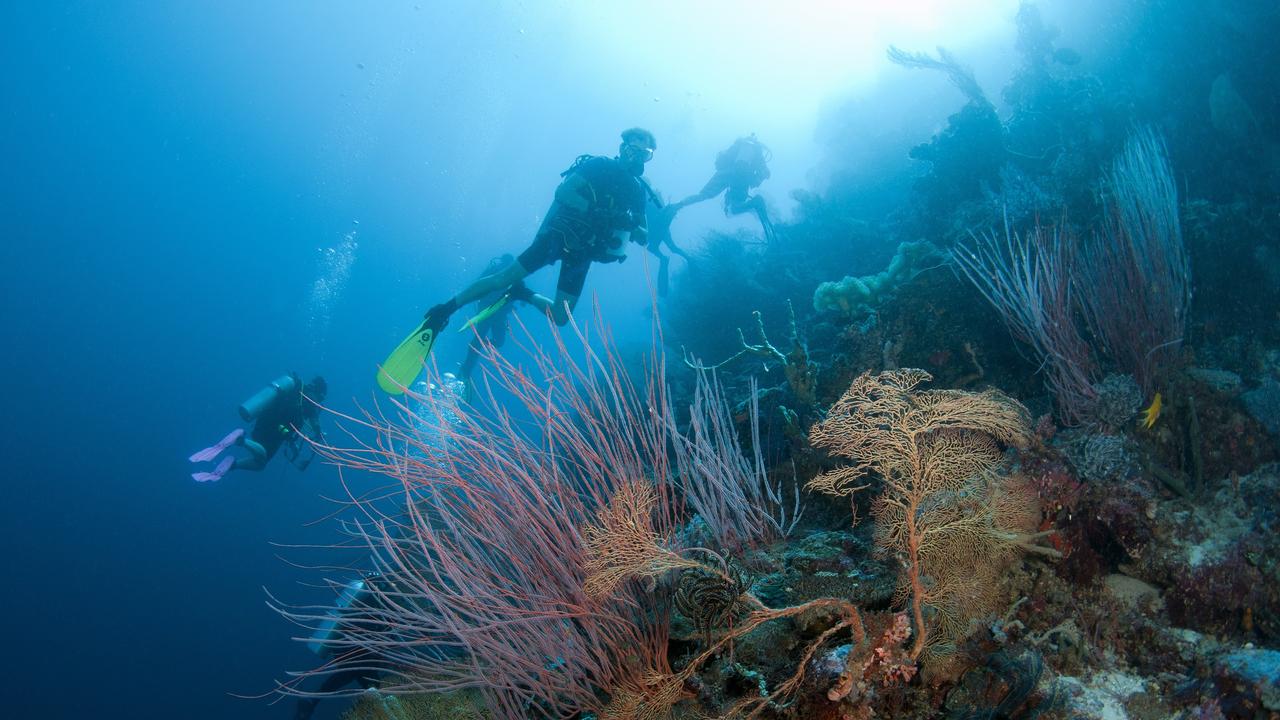 The Great Barrier Reef is a popular destination with young and old alike.