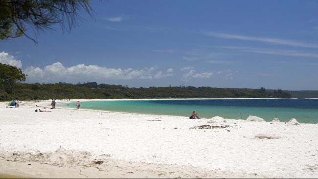 Jervis Bay's Hyams Beach Turns Red After Storms Wash Up Algae 