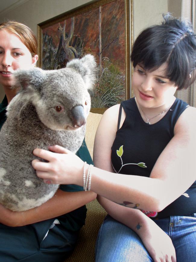 Singer Kelly Osbourne meets Samson the koala and handler Renee at her hotel room in Sydney. Samson came from Featherdale Wildlife Park to visit Osbourne as one of her longstanding wishes.