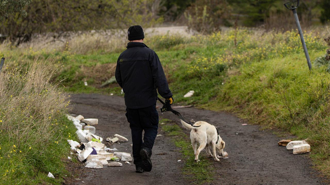 NSW Police cadaver dogs were brought in to assist with the search. Picture: NewsWire / Diego Fedele