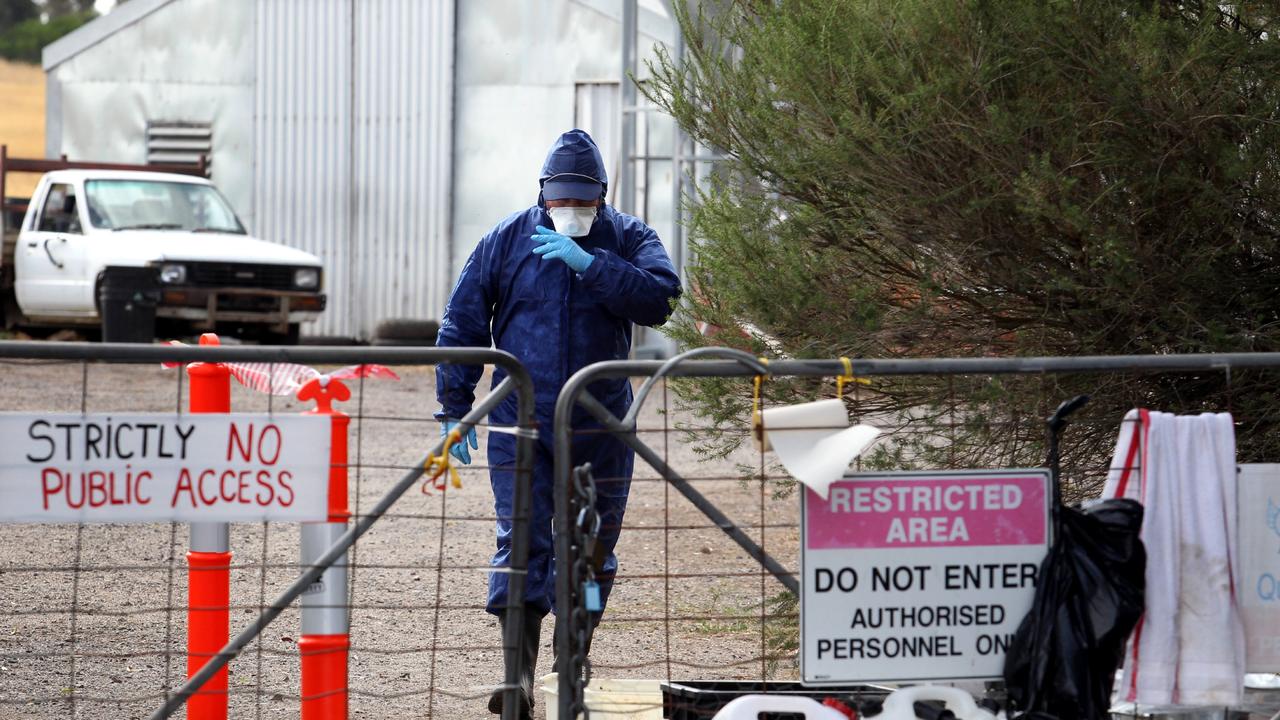 H7 avian influenza eradicated