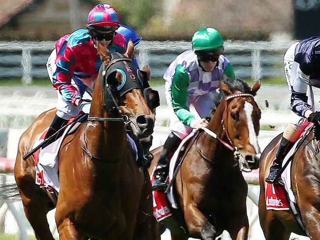 Payne rides past her Melbourne Cup winner Prince Of Penzance, with John Allen on board (below). Picture: Colleen Petch