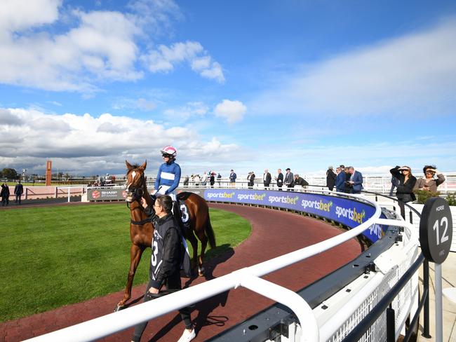 Horses parade in the new mounting yard at Caulfield last Saturday. Picture: Vince Caligiuri / Getty Images