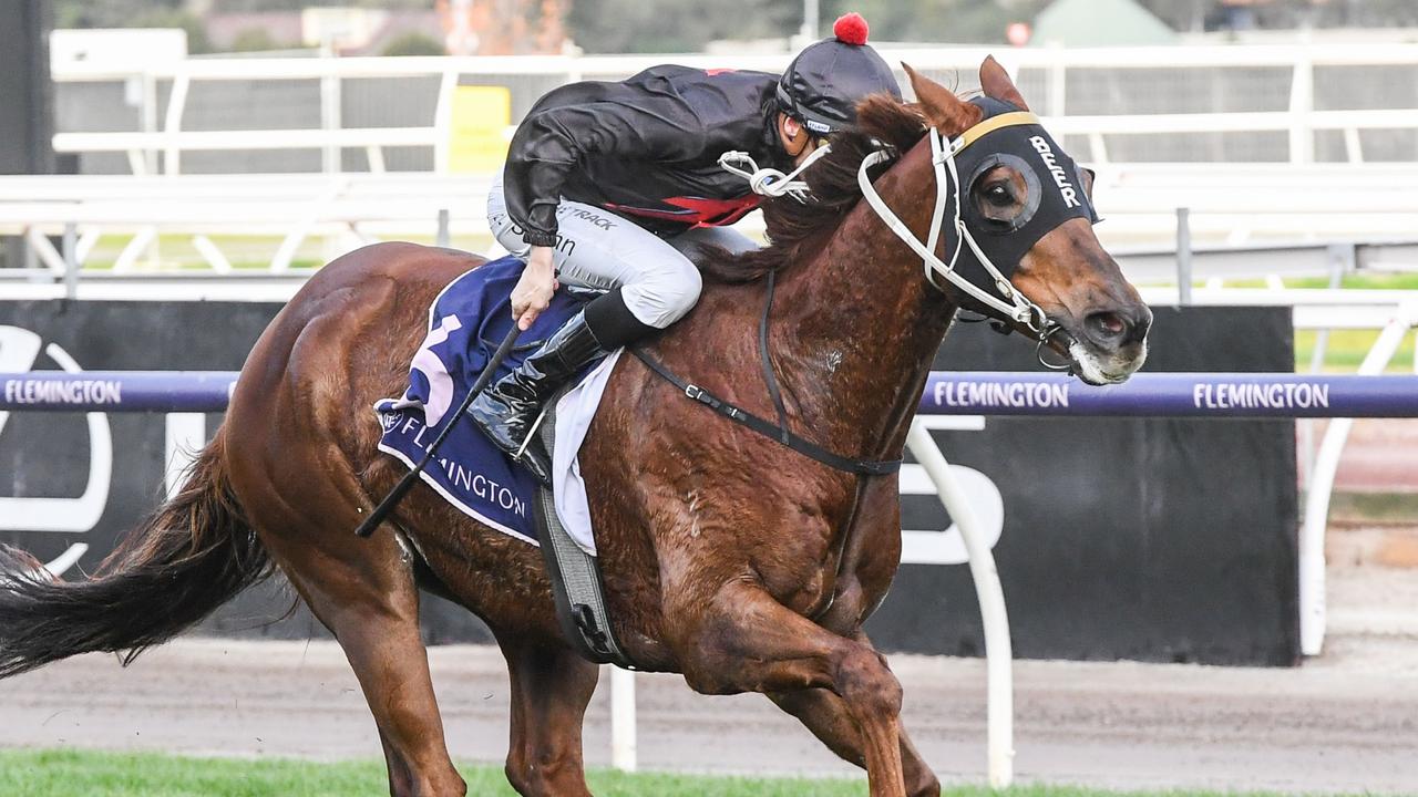 Mnementh could be back at Flemington as soon as Saturday’s Listed Straight Six. Picture : Racing Photos via Getty Images.