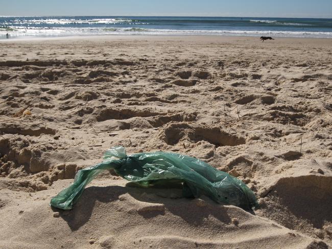 The problem has also been an issue on Gold Coast beaches. Picture: Scott Fletcher.