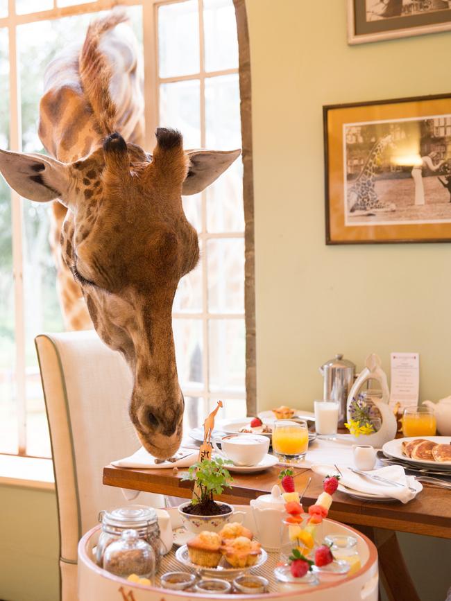 Breakfast at the Giraffe Manor, Kenya.