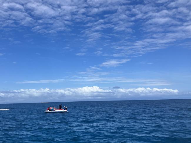 Marine biologists collate coral samples to help regenerate coral colonies on Agincourt Reef. Photo: Catherine Duffy.