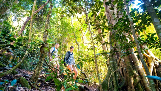 Scenic Rim, Queensland best guided hikes | escape.com.au