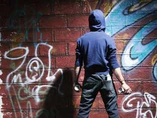 Can it already - graffiti vandals will feel the fuller force of the law in Tweed. Picture: Photoscom