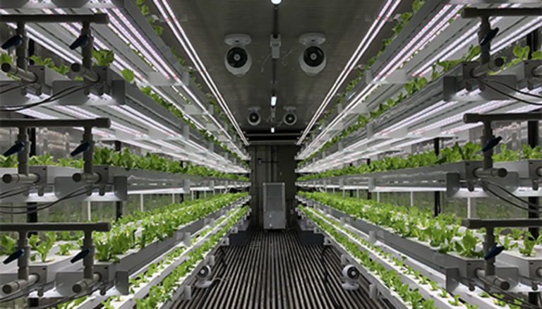 Vertical farming is a key factor of future “smart cities”, the Planty Cube modules make it easier.