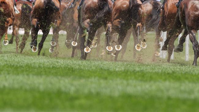 Three jockeys were taken to hospital following a fall at Darwin Turf Club.