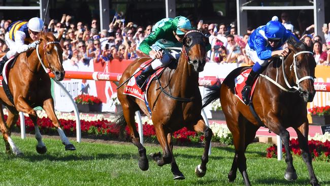 Blake Shinn got the most out of Humidor in the Cox Plate. Picture: Getty