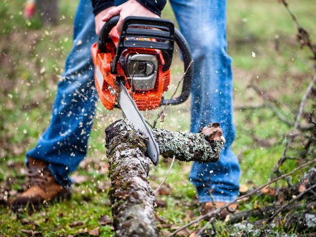 A man cutting tree branches with a chainsaw. Picture: iStock