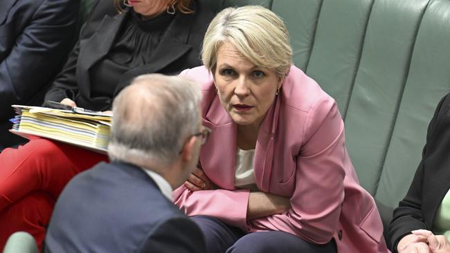 Minister for the Environment and Water Tanya Plibersek during Question Time at Parliament House in Canberra. Picture: NewsWire / Martin Ollman