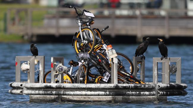 oBikes dumped in the middle of Albert Park Lake. Picture: Alex Coppel.