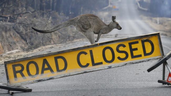 Authorities have warned of road hazards as the fire clean-up continues. Picture: David Caird