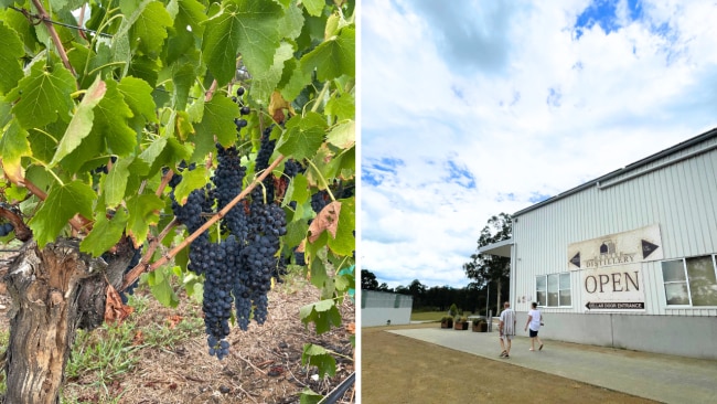 Out and about in the Hunter Valley. Image: Leah Goulis / Kidspot 