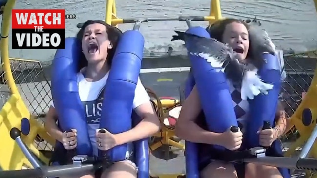 Teen slapped in the face by seagull on sling shot ride