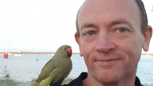 Camper punches elderly man in face at Tara Festival