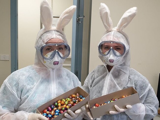 ‘Hazmat’ bunnies deliver chocolate eggs to staff left working at the NSW Department of Primary Industries (DPI) Agricultural Institute in Orange.