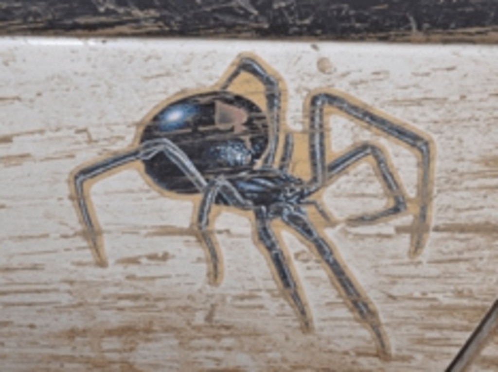 Terrence’s vehicle had a distinctive spider sticker on its back-right door.