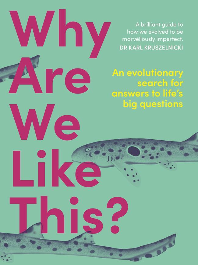 The cover of Why are We Like This?