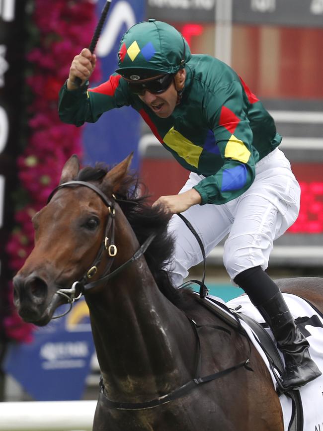 Alligator Blood wins the $2m Magic Millions Guineas.