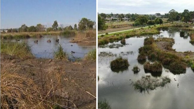 There is only a thin wire fence surrounding the lagoon. Picture: 7News