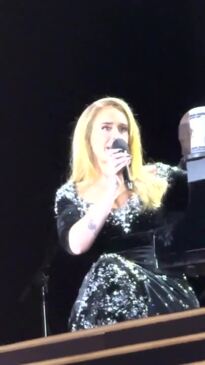 Adele stops her concert to talk about Aussie breaker Raygun