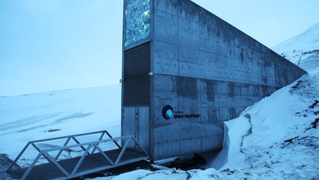 Doomsday Vault full of seeds could one day feed the world | KidsNews