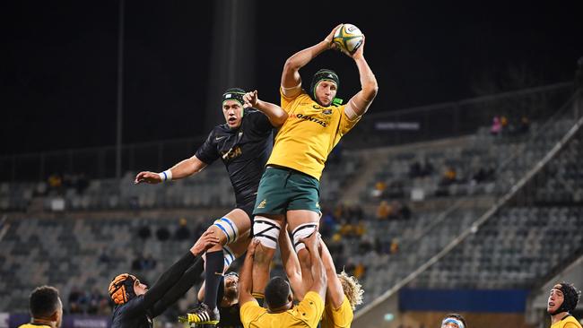 The Rebels hope to sign Wallabies lock Adam Coleman.