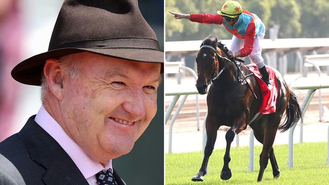 Hong Kong-based Australian trainer David Hayes hopes to bring his star sprinter Ka Ying Rising to Royal Randwick for the $20 million The Everest in 2025. Pictures: Getty Images