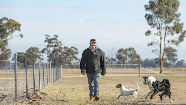 Farmer Ben Duxson on his farm at Kanya with dogs jack russell Spud and border collie Charlie Picture: Zoe Phillips