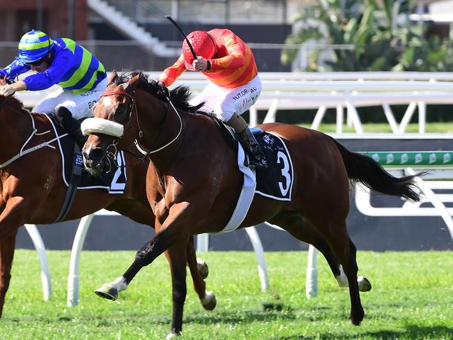 Apache Chase wins the Fred Best Classic at Eagle Farm on May 29, 2021. Picture: Grant Peters/Trackside Photography