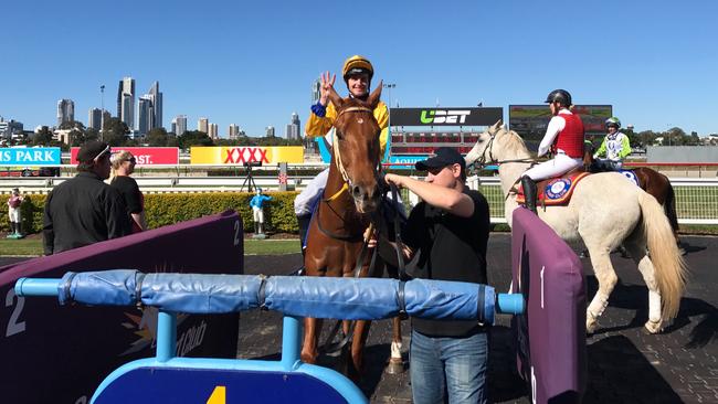 The Bryan and Daniel Guy-trained Robbers Cobber won the Divine Prophet Class 3 Handicap (1800m) at the Gold Coast on Saturday. Photo: Supplied.