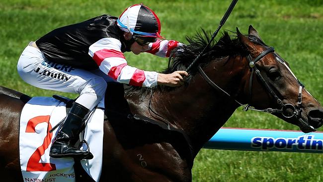 Can Lord of The Sky salute at Caulfield again?