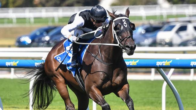 First Immortal will be out to bounce back to winning ways in Saturday’s $300,000 Mornington Cup. Picture: Racing Photos via Getty Images